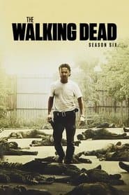 Season 6