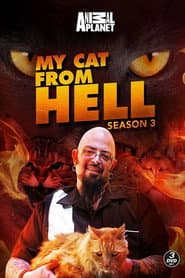 Season 3