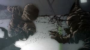 Have You Ever Seen a Black Ghost?