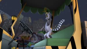 Little Zoo Coupe