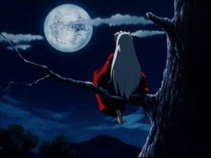 Aristocratic Assassin, Sesshomaru